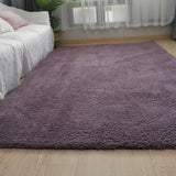 Nordic Fluffy Carpet Rugs for Bedroom Living Room Rectangle Large Size