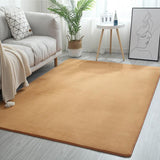 Living Room Carpet Coral fleece Sofa Coffee Table Rugs Bedroom Non-slip