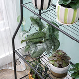 3 Tier Metal Plant Stand Scrollwork Design Indoor and Outdoor Plant Display Rack Flower