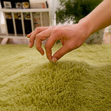 Fluffy Round Rug Carpets for Living Room Kilim Faux Fur Carpet Long Plush