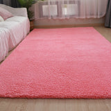 Nordic Fluffy Carpet Rugs for Bedroom Living Room Rectangle Large Size