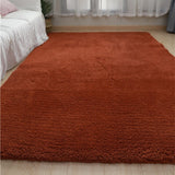 Nordic Fluffy Carpet Rugs for Bedroom Living Room Rectangle Large Size