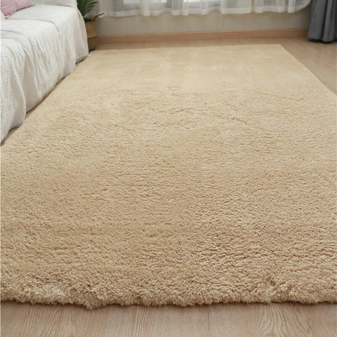 Nordic Fluffy Carpet Rugs for Bedroom Living Room Rectangle Large Size